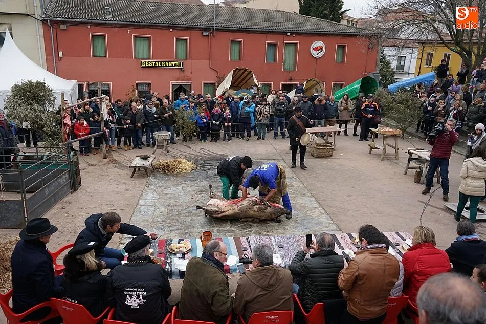 Los carros de Acasan visitarán de nuevo la matanza el sábado en Guijuelo