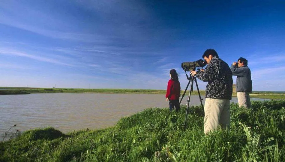 Turismo de naturaleza: Dos enclaves para observar aves en invierno