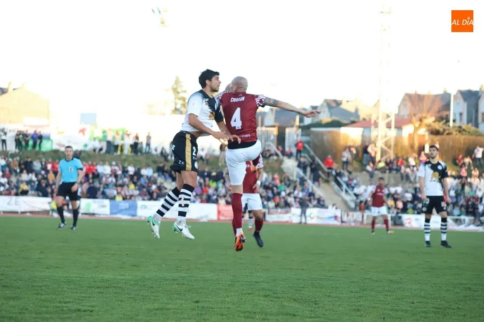 Chatón salta por un balón