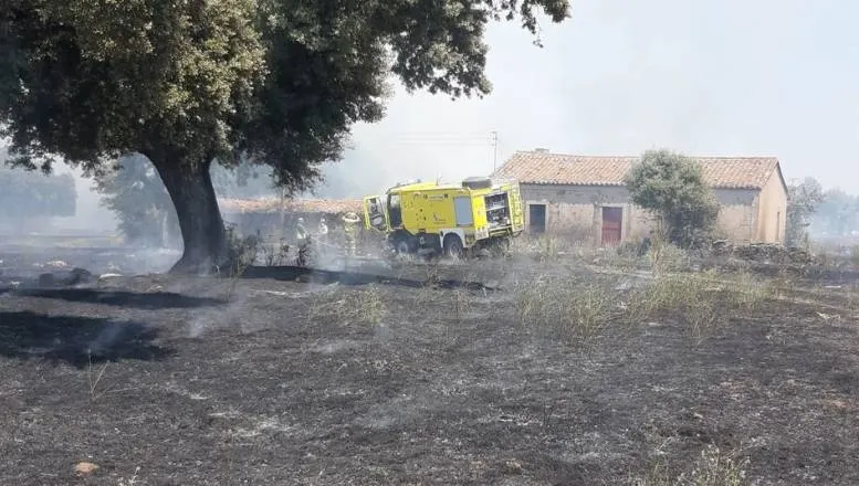 La rápida intervención de los Servicios de Emergencias evitó que se quemaran tres eucaliptos y se extendieran las llamas / FOTO: ARCHIVO