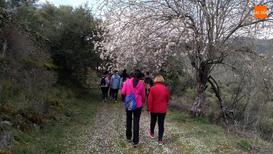 Este jueves, 27 de febrero, vence el plazo para inscribirse en la Marcha Almendros en flor / ARCHIVO