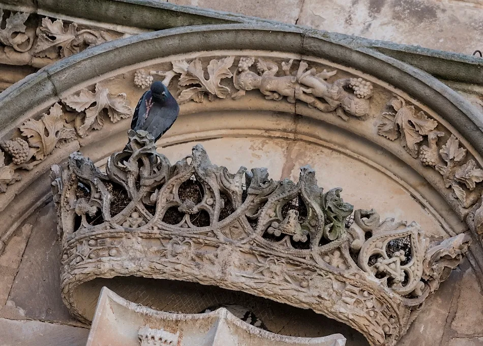 El deseo de remontar el vuelo