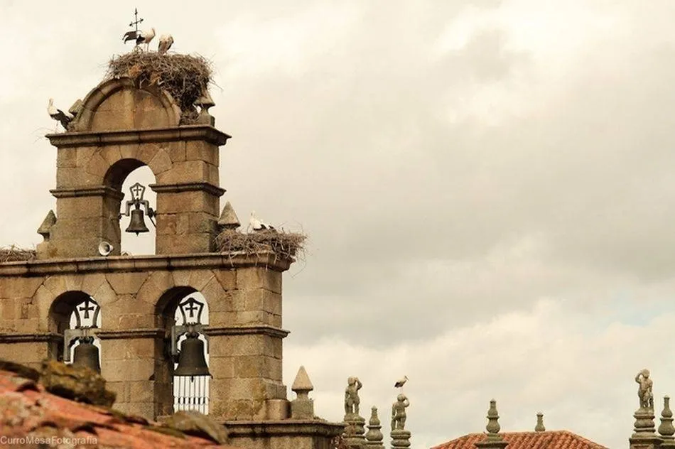 Iniciativas puestas en marcha por la Iglesia en Salamanca durante el estado de alarma
