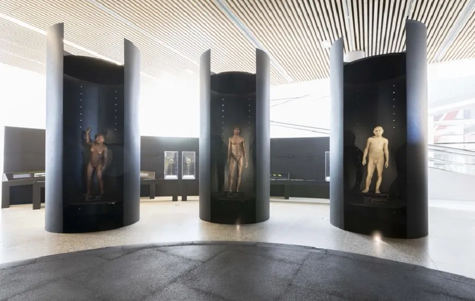 Variada serie de propuestas para todos los públicos que se pueden disfrutar en estos días