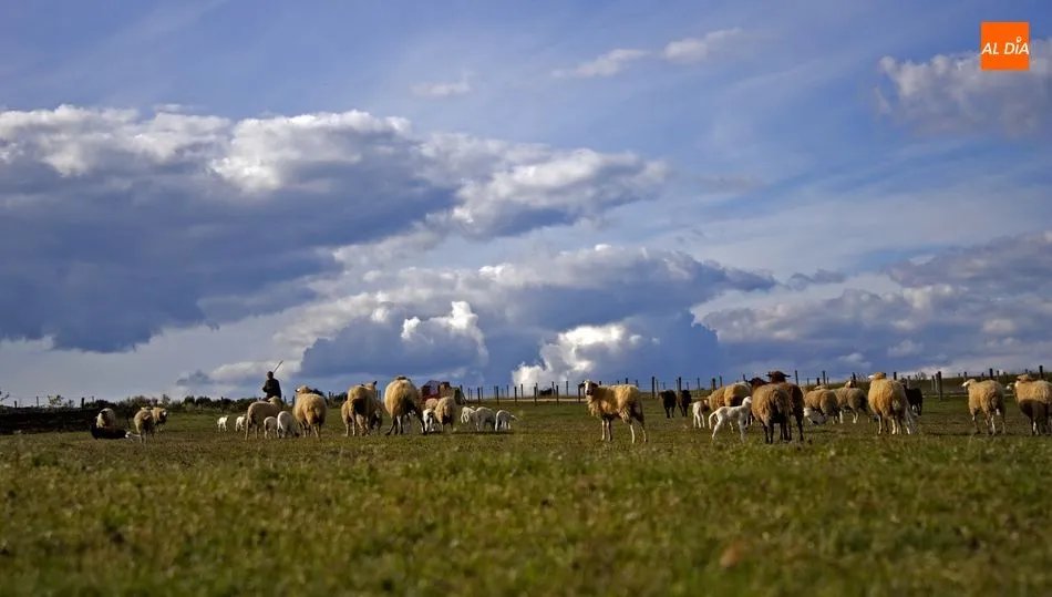 Sí el campo no produce, la ciudad no come…  
