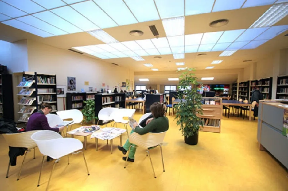 La biblioteca municipal está preparando una exposición que se podrá ver en cuanto sea posible en el Centro de Interpretación de la Isla del Soto