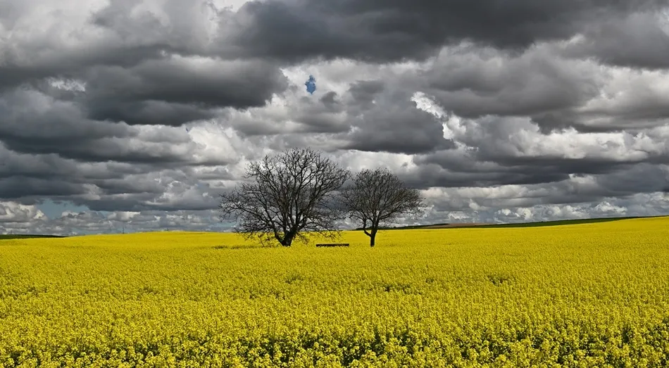 El triunfo de la luz