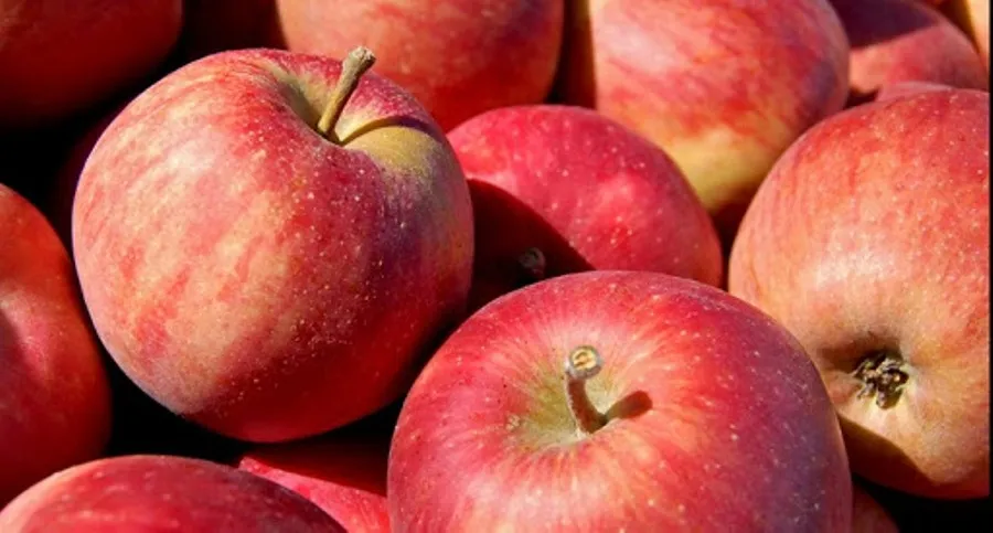 La alimentación saludable es básica para aguantar el confinamiento