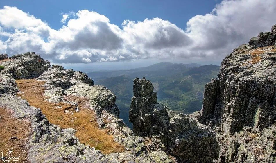 Sueños para avanzar