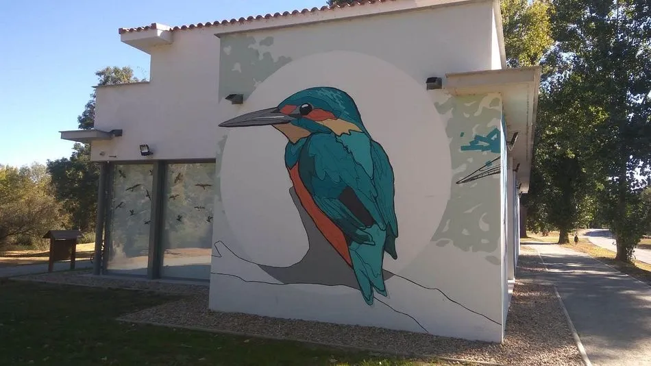 La isla del Soto abre sus puertas de nuevo para actividades deportivas a partir del 2 de mayo