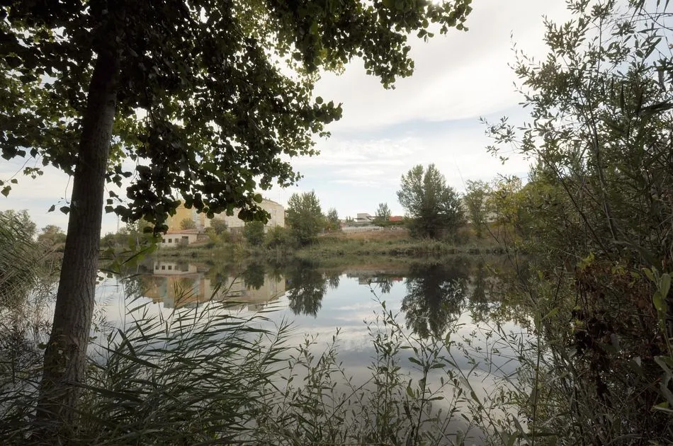 La Isla del Soto es el pulmón de Santa Marta con mas de 13 km de área verde - Ayto. Santa Marta