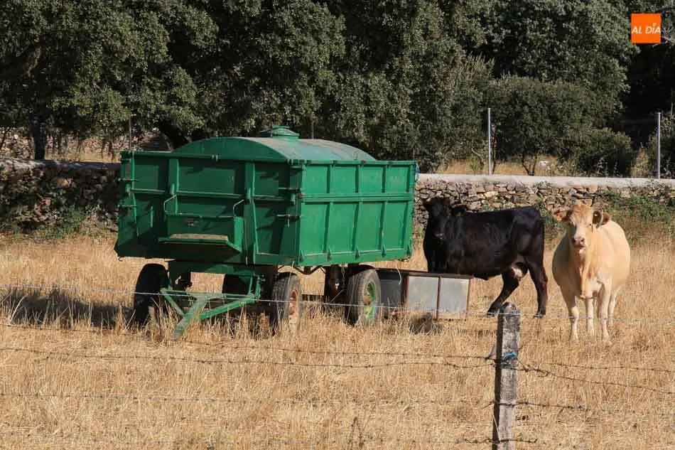 Asaja CyL propone a los partidos un plan de choque y medidas concretas para el mundo rural