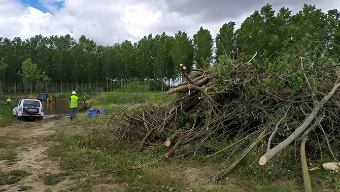 La CHD esta llevando a cabo trabajos en el cauce del río Almar. Redes