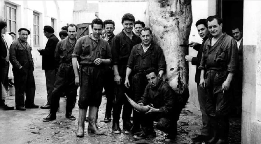 El Matadero Municipal en la antigua carretera de Madrid