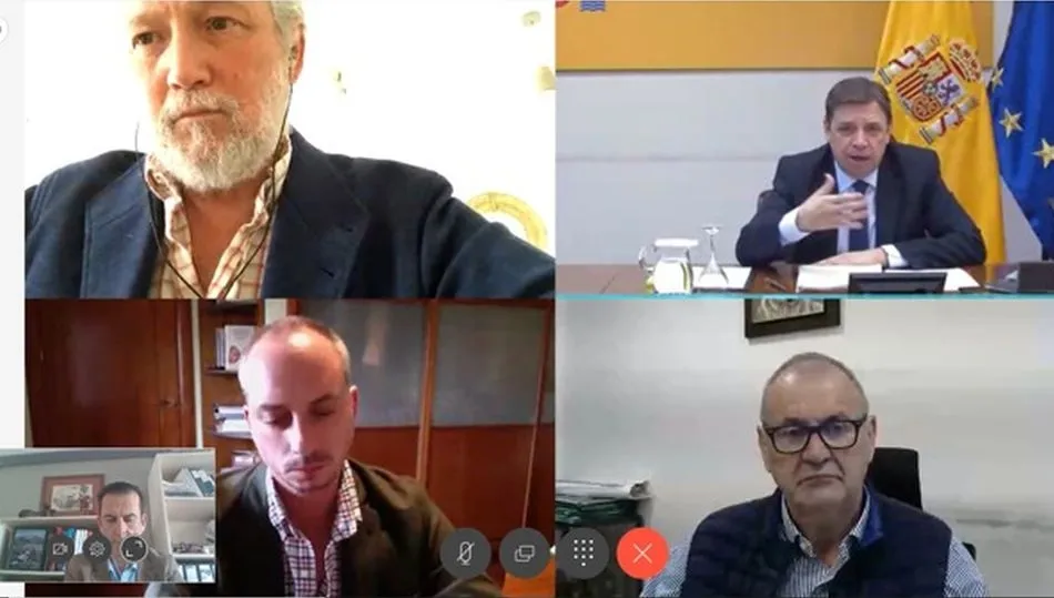 La reunión con el ministro se celebró de manera telemática