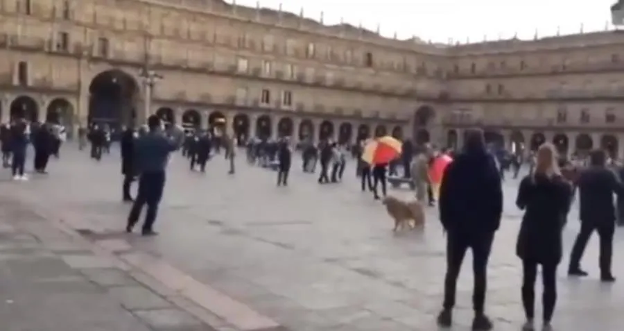 Cacerolada contra el Gobierno en la Plaza Mayor