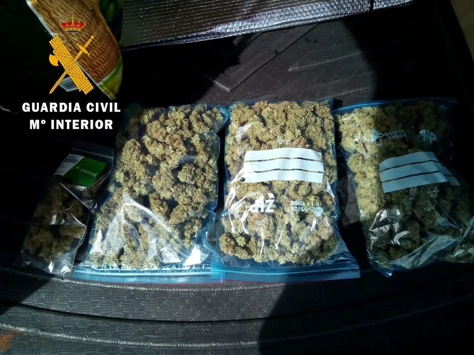 La droga intervenida por la Guardia Civil el pasado 14 de mayo en Salamanca