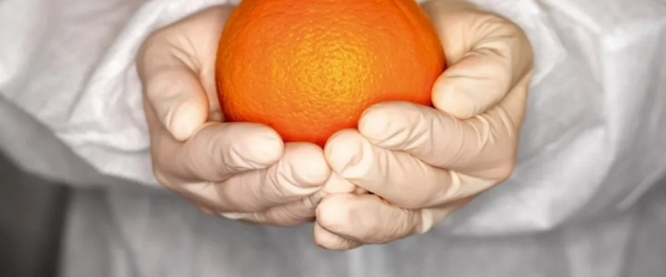  Hay que extremar la precaución escogiendo piezas saludables y frescas