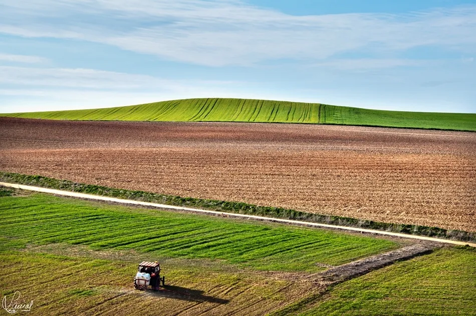 Mimos para la tierra