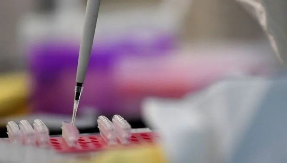 Castilla y León registra 31 nuevos casos de coronavirus y 28 de ellos llevan más de 14 días con...