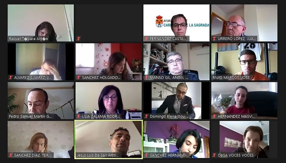 Momento del pleno celebrado de forma telemática