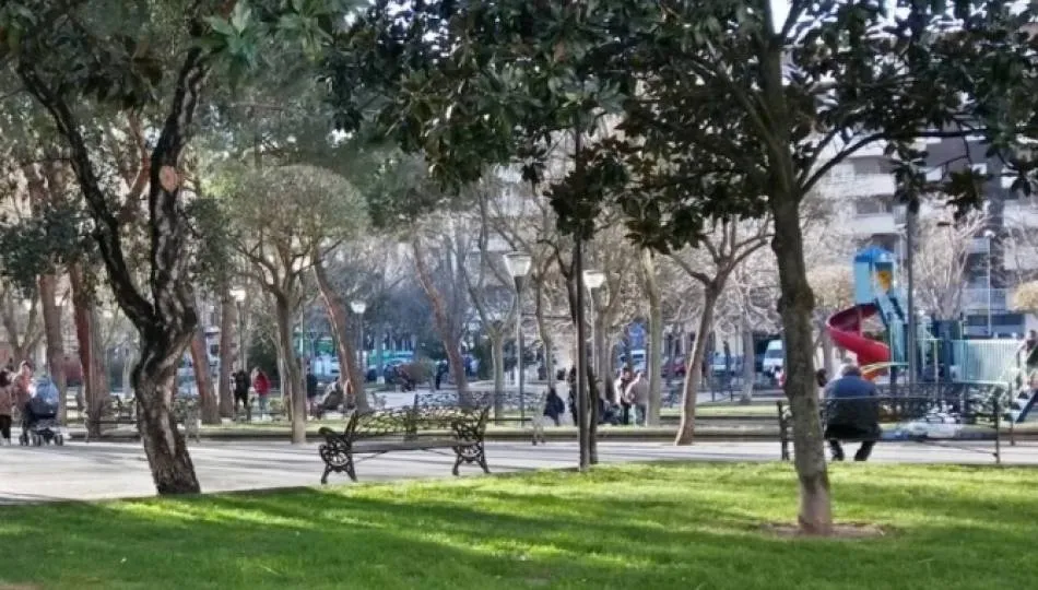 El parque de Picasso recibirá tratamiento contra el pulgón a partir del martes - Archivo