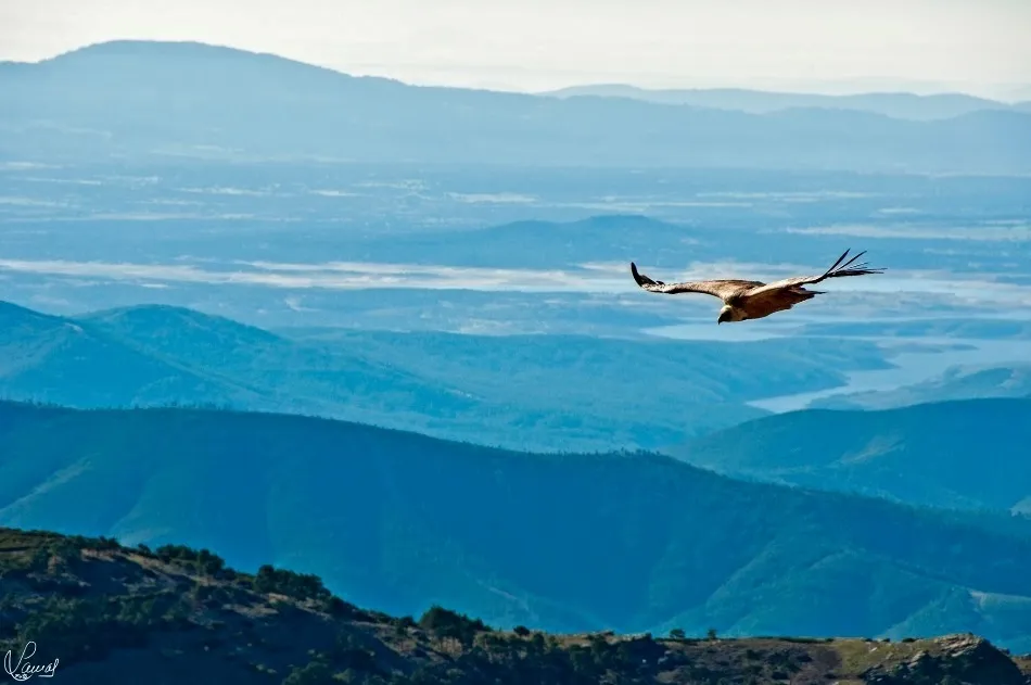 La armonía del progreso