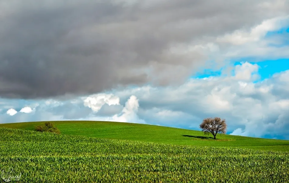 Mensajes en las nubes