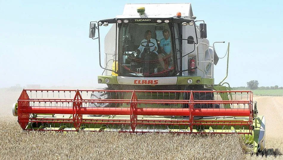 Si se confirman los pronósticos de lluvia para los próximos 10 días y las precipitaciones son adecuadas, no hacen daño y acompañan las temperaturas los pronósticos pueden mejorar, según COAG