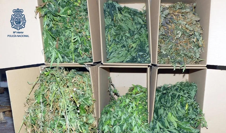 Parte del material intervenido por la Policía Nacional en esta operación