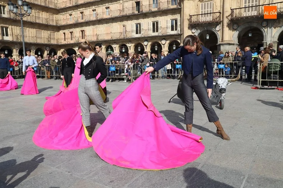 El acto para defender la tauromaquia se realizará en la Plaza Mayor