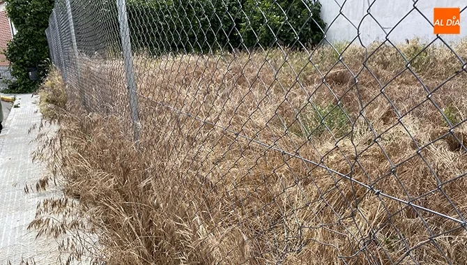 El Ayuntamiento de Peñaranda ha envidado cartas a los propietarios de solares para instar a su limpieza
