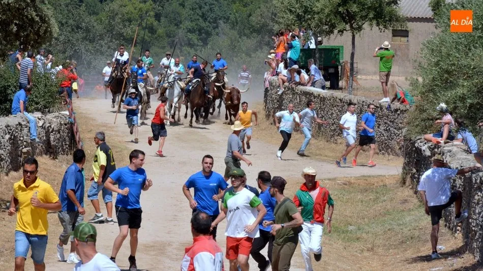 Las fiestas se quedan sin los tradicionales y atractivos encierros de toros / E. Corredera