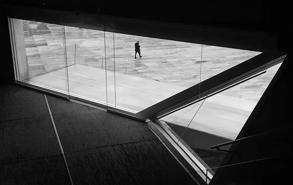 A janela, de António Tedim