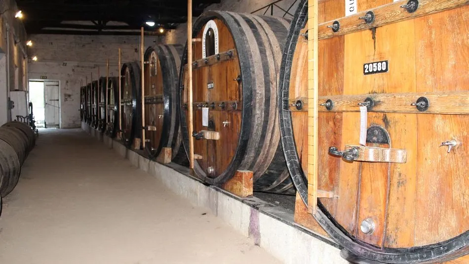 Las bodegas de Vila Nova de Gaia vuelven a abrir para visitas  