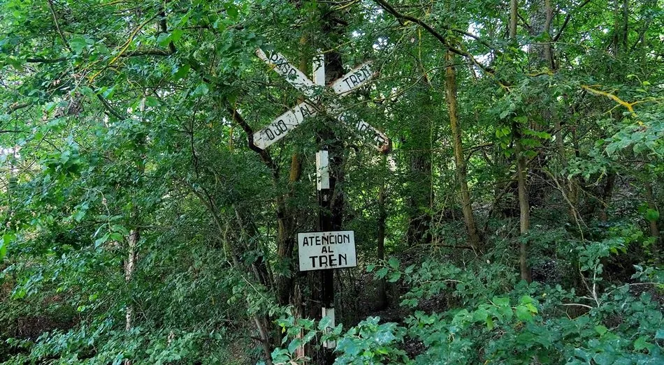 Todas las direcciones