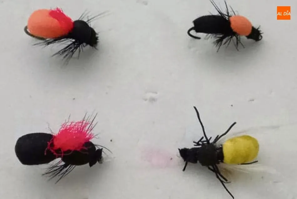 Pesca de carpas con mosca en el embalse de Almendra  