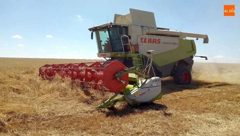 Desde que se iniciaron las tareas de recolección, hay presión de intermediarios muy interesados en inflar las previsiones y asustar a los agricultores que andan más necesitados de liquidez, afirma Asaja