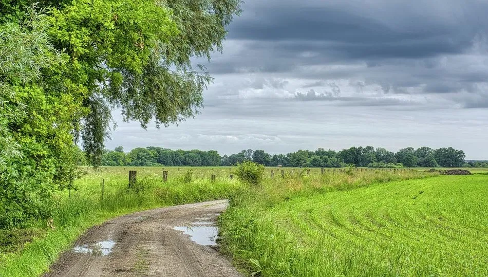 La nueva modificación del Reglamento define humedal como “toda superficie cubierta temporalmente de agua”, sin más, lo que genera una gran inseguridad jurídica para los cazadores