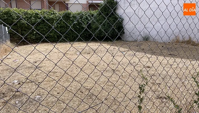 Solar desbrozado en los últimos días