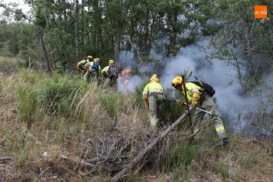 Cuadrilla de bomberos forestales trabajando en un incendio anterior - Archivo