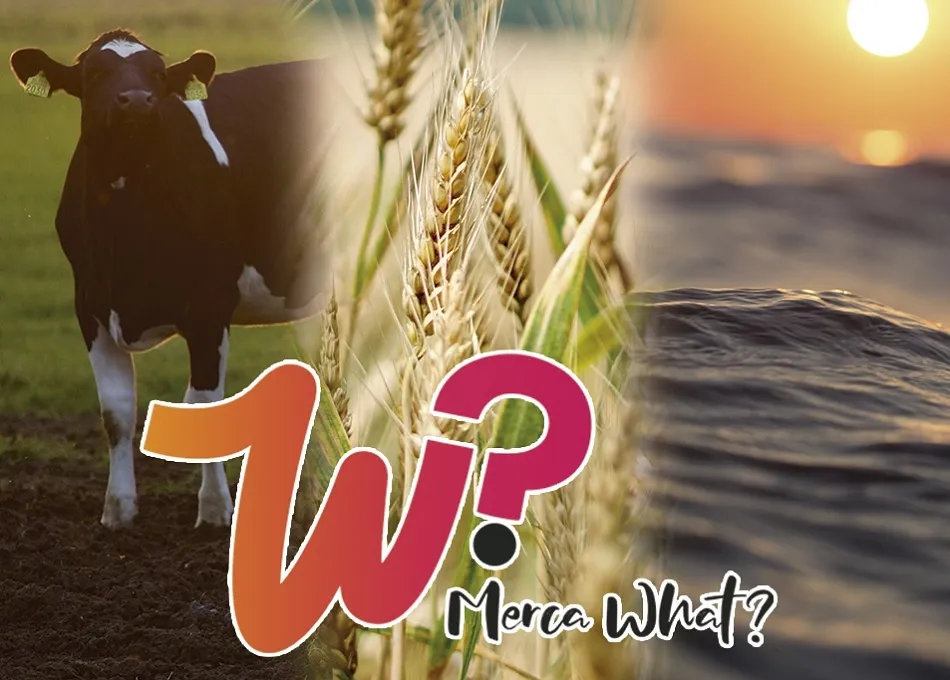 Ya es posible comprar alimentos completamente naturales y de temporada a través de Merca What