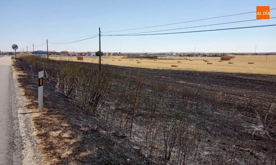 Terreno quemado junto a la carretera de Valladolid, en Castellanos de Moriscos, tras este incendio
