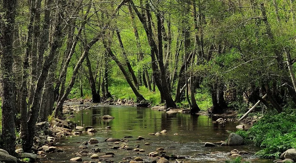 Cúpula sobre el agua
