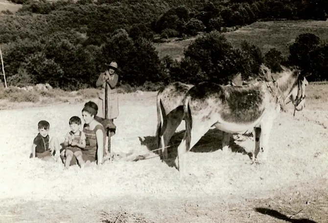 La trilla en las eras de arriba (Candelario)