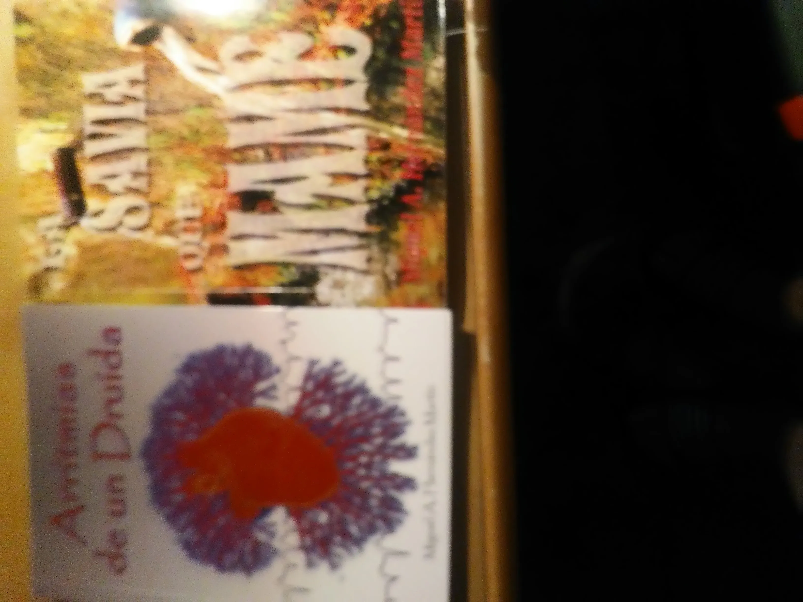 El valor de un poeta extremeño