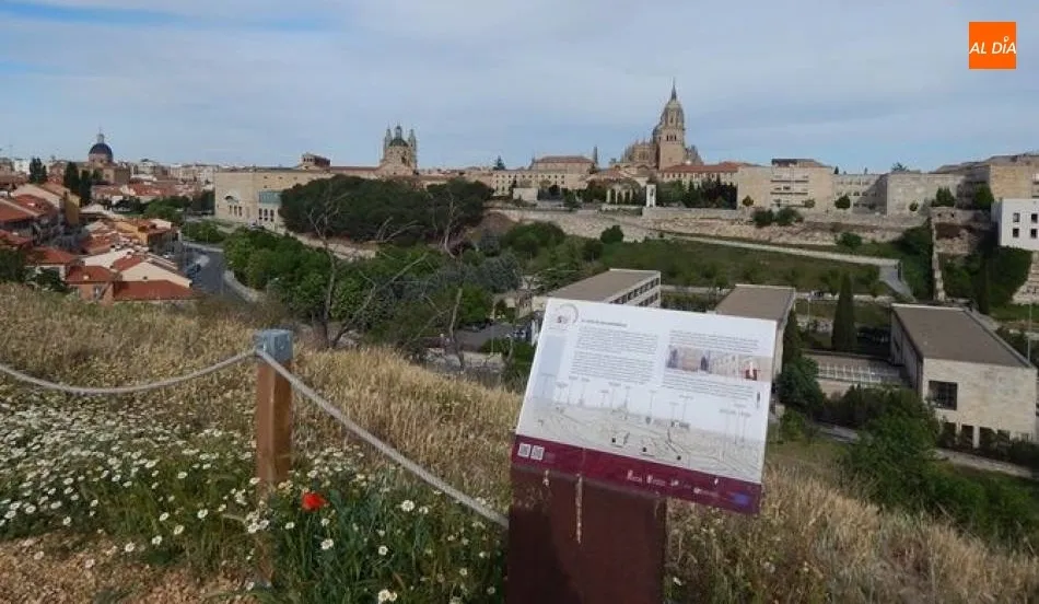 Cerro San Vicente de Salamanca