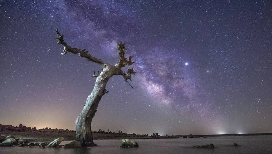 El vigilante, de Marian Rodríguez, una de las imágenes ganadoras de la edición 2019