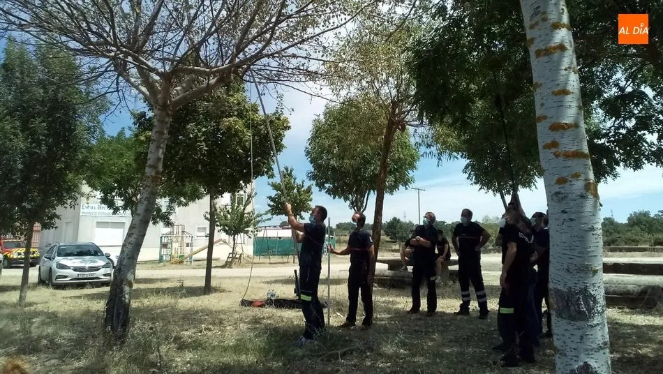 Los bomberos hicieron prácticas sobre el uso de pértigas para la neutralización de nidos de avispa asiática