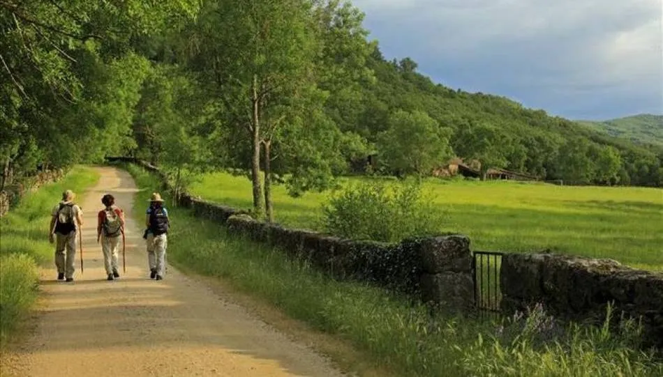 Paseo por la naturaleza